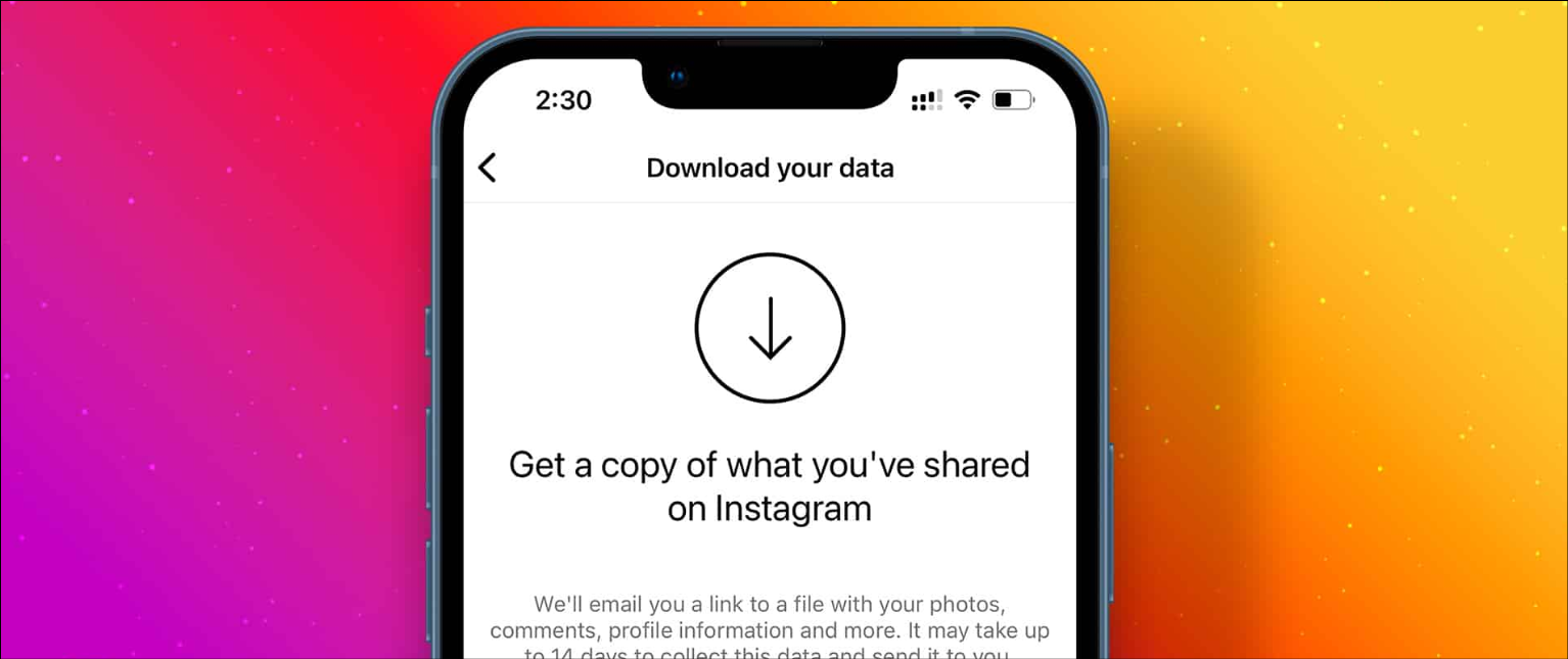 Download Instagram Data